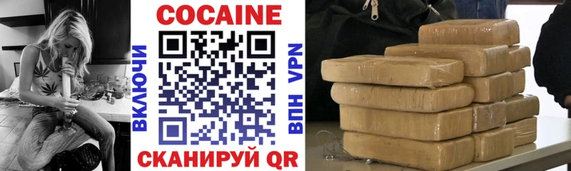 Кокаин FishScale  Купить закладки  Чекалин 