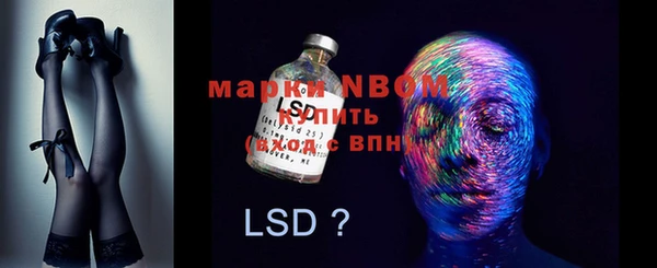 ECSTASY Каменногорск