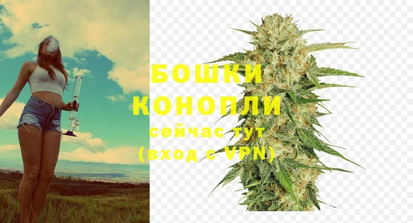 ECSTASY Каменногорск