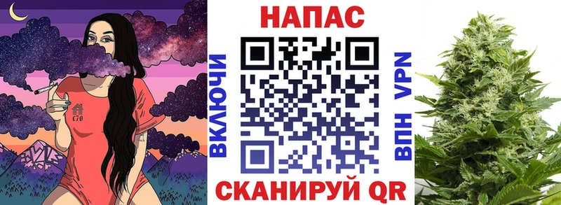 Купить  Чекалин  Конопля конопля 